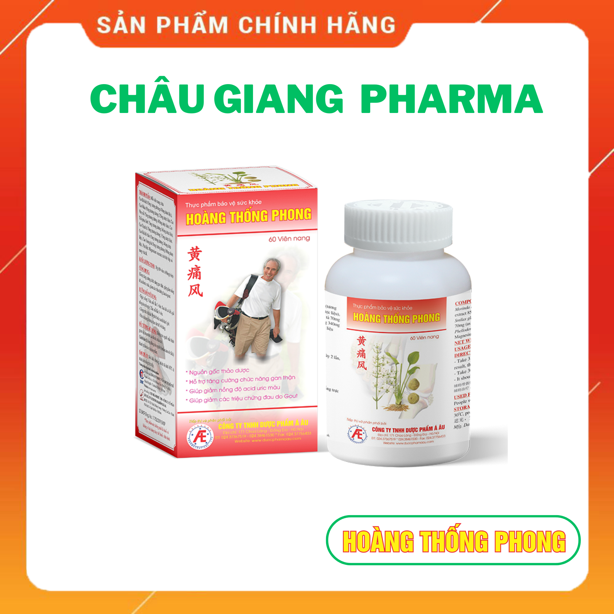 Hoàng Thống Phong - hỗ trợ làm giảm các triệu chứng đau nhức do gút (Mua 06 tặng 01)